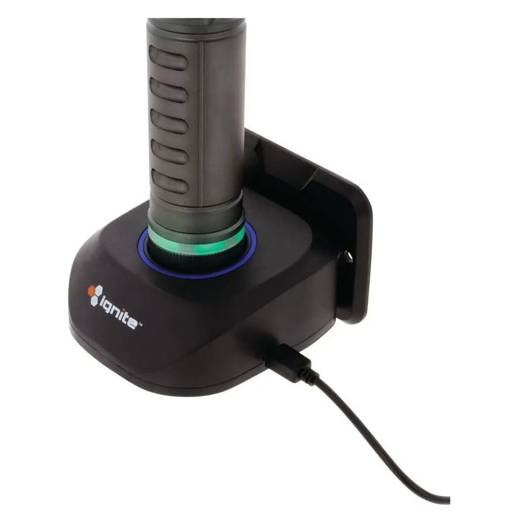 Heavy Duty Medium Torch With Focus & Charging Dock Inspection lamps