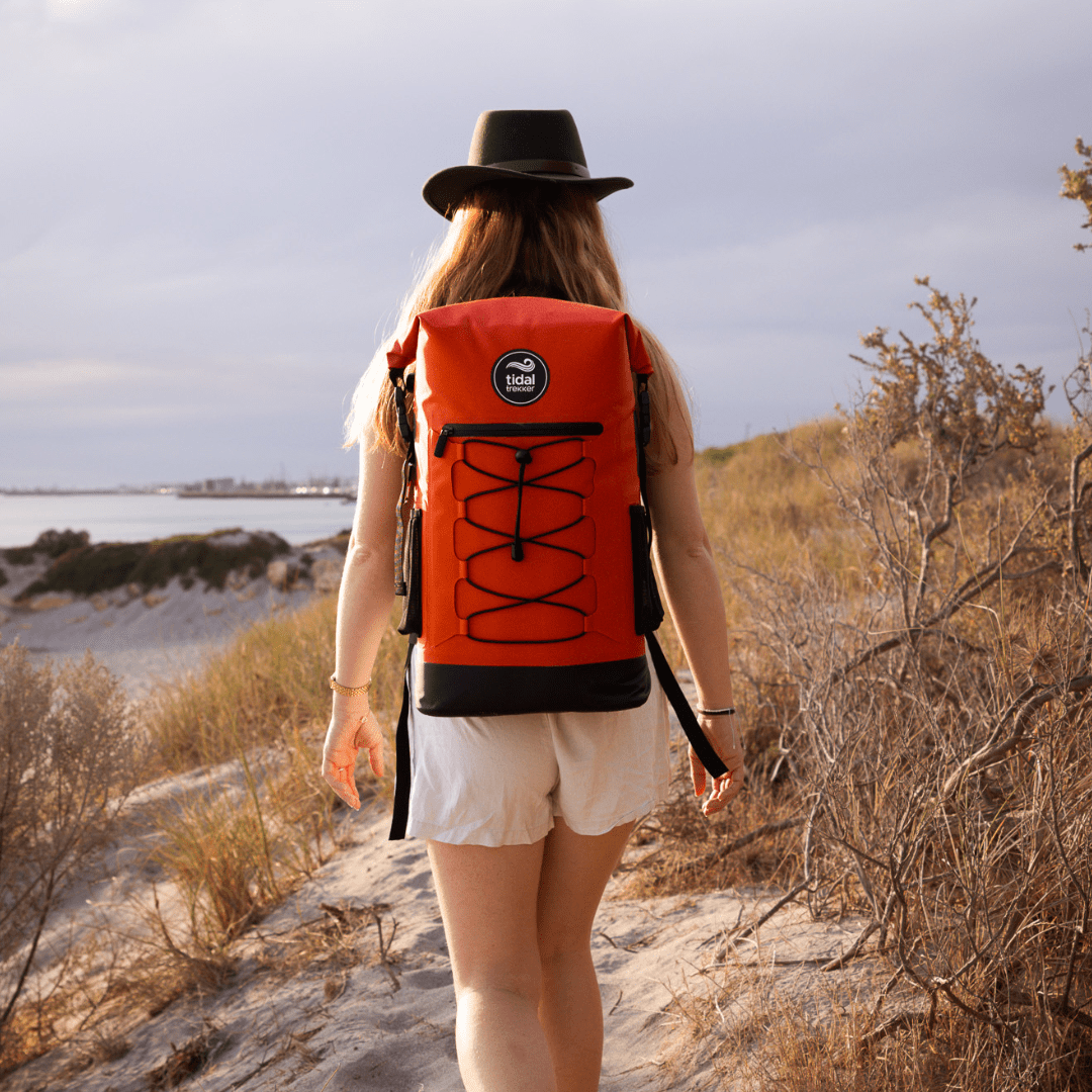 25L Insulated Cooler Backpack Travel Bag