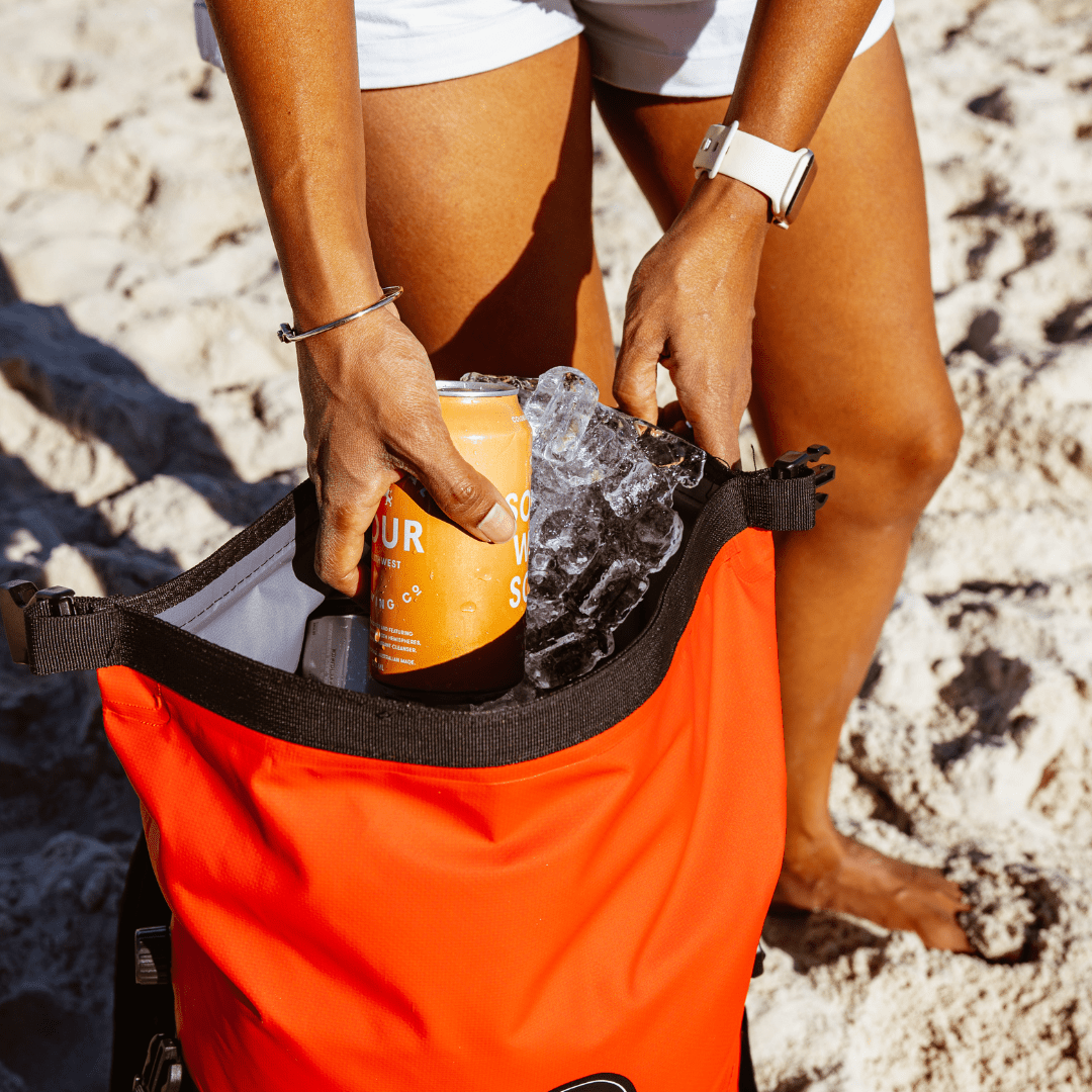 25L Insulated Cooler Backpack Travel Bag